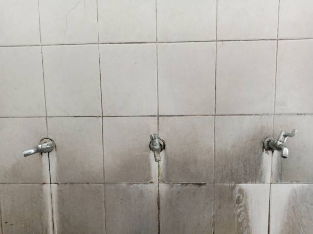 Best Fire Damage Restoration  in Catasauqua, PA