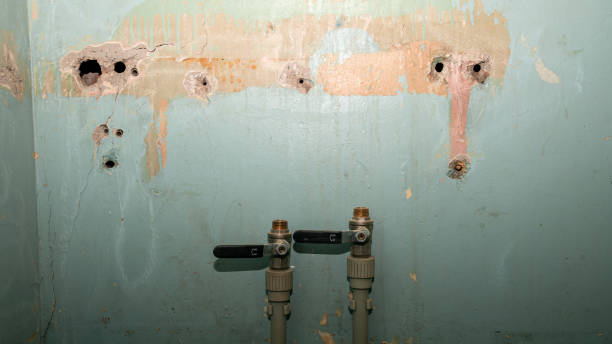 Best Mold removal after water damage  in Catasauqua, PA
